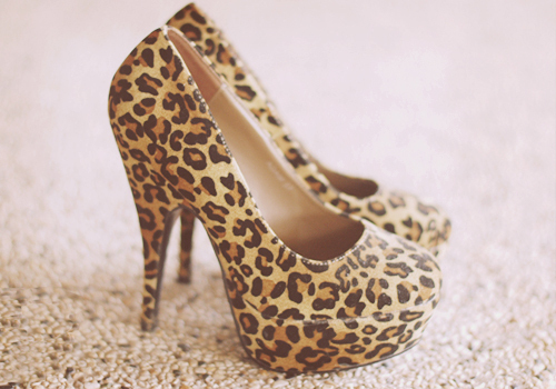 leopard.
